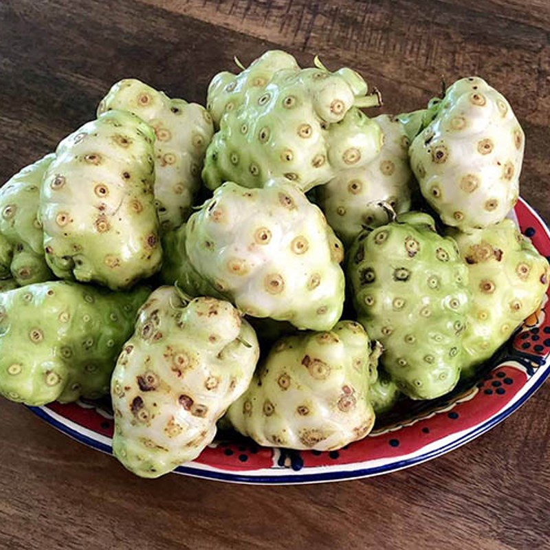 Bước 1 Xay quả nhàu cùng với nước Nước ép trái nhàu