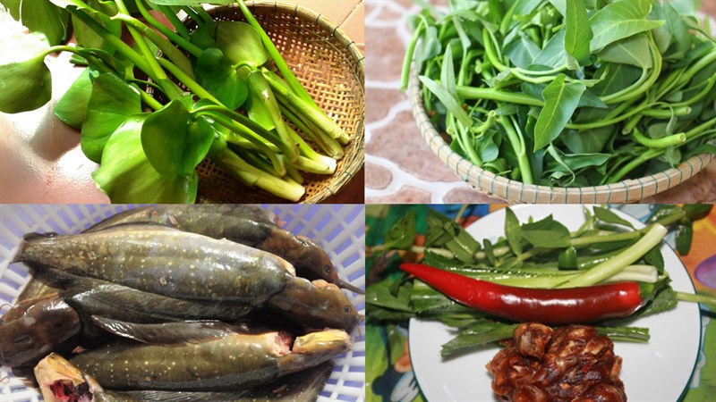 Nguyên liệu món ăn 2 cách nấu canh chua cá trê