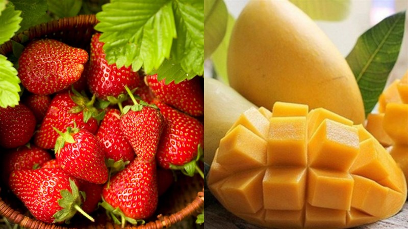 Nguyên liệu món ăn bánh trái cây khô