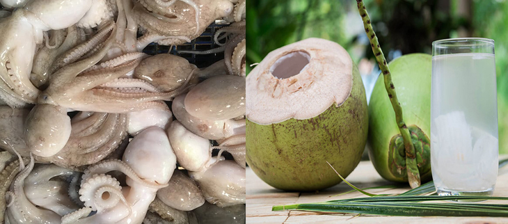 Nguyên liệu món ăn bạch tuộc hấp bia và bạch tuộc hấp nước dừa