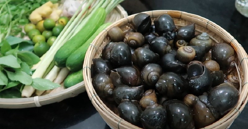 Nguyên liệu món ăn ốc hấp tiêu, hấp sả kiểu thái