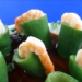 2Cachlamtomhapmuopvadua 1200x676 1
