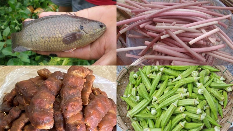 Nguyên liệu món ăn canh chua cá rô đồng và cá rô phi