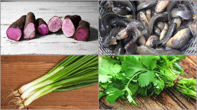 Nguyên liệu món ăn 2 cách nấu canh khoai mỡ nấu cá rô và cá lóc