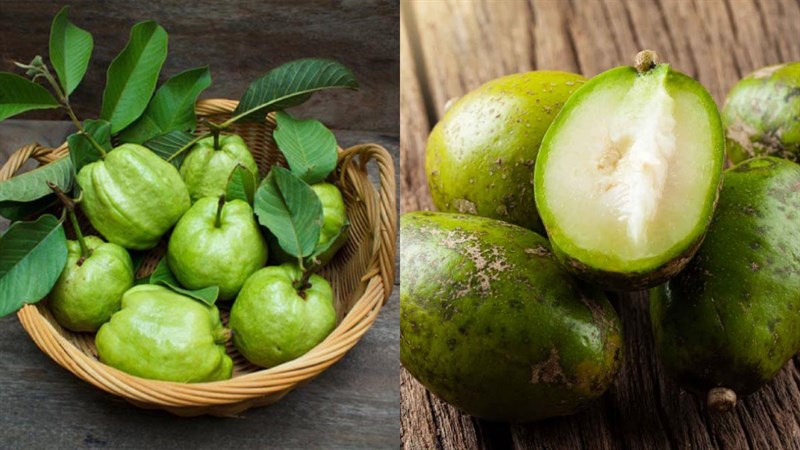 Nguyên liệu món ăn nước ép cóc ổi, nước ép cóc thơm
