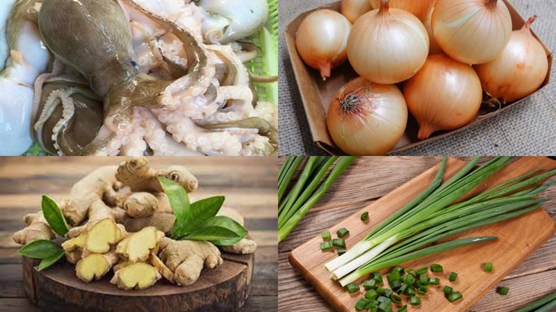 Nguyên liệu món ăn bạch tuộc xào cần tây, bạch tuộc xào hành gừng