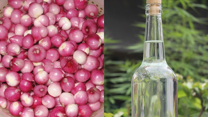 Nguyên liệu món ăn thịt muối nước mắm