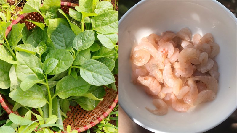 Nguyên liệu món ăn canh mồng tơi nấu tép đồng