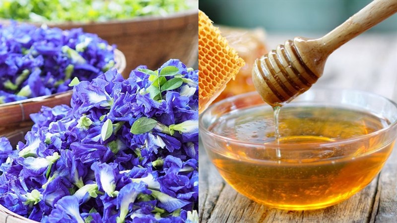 Nguyên liệu món ăn cách pha trà hoa đậu biếc