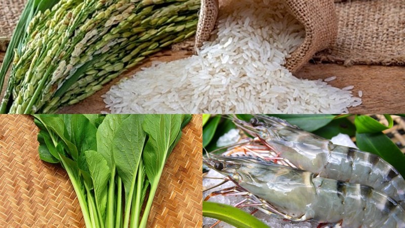 Nguyên liệu món ăn 2 cách nấu cháo tôm rau cải ngọt