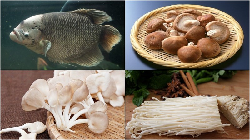 Nguyên liệu món ăn cá tai tượng chưng tương
