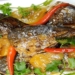 Cach lam ca bac ma kho dua don gian ngon dam da 1 1200x676 1