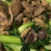 Cachlamcaithiaxaolonggadamdahapdandoivichobuacom 1200x676 1