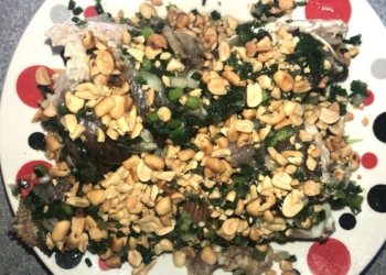 Cachlamcalochapmohanhthombeochuanvichobuacomthemhapdan 1200x676 1
