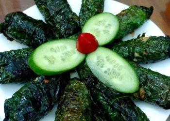 Cachlamchalalotthitheodamdathomngonkhocuong 1200x676 1