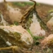 Canh Kho Qua Nhoi Ca Thac Lac Cach Lam Canh Don Gian Dai Ngon Thanh Mat Cooky TV 0 2 screenshot 1200x676 1