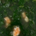 Canhmongtoinautom 1200x676 1
