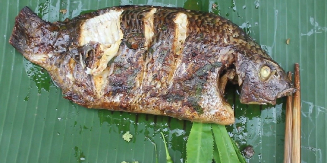 CarophinuonggiaybacE280A2AmthucdandaTap1Grilledfish18 1screenshot 1200x676 1
