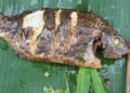 CarophinuonggiaybacE280A2AmthucdandaTap1Grilledfish18 1screenshot 1200x676 1