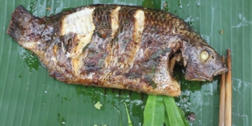 CarophinuonggiaybacE280A2AmthucdandaTap1Grilledfish18 1screenshot 1200x676 1