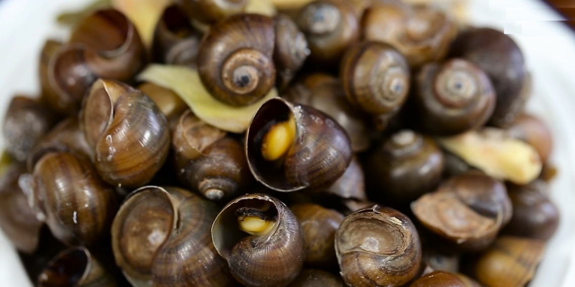 HuongdancachlammonOCMITHAPRIENGSA1200 1200x675 1