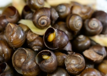 HuongdancachlammonOCMITHAPRIENGSA1200 1200x675 1