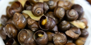 HuongdancachlammonOCMITHAPRIENGSA1200 1200x675 1
