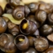 HuongdancachlammonOCMITHAPRIENGSA1200 1200x675 1