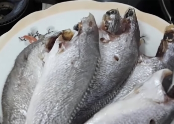 KhoCaLuDu CachLamKhoCaLuDu DatSanMienTay HongThanhFood11 56screenshot 1200x676 1