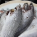 KhoCaLuDu CachLamKhoCaLuDu DatSanMienTay HongThanhFood11 56screenshot 1200x676 1