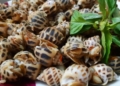 OCHuongxaosaot1200 1200x676 1