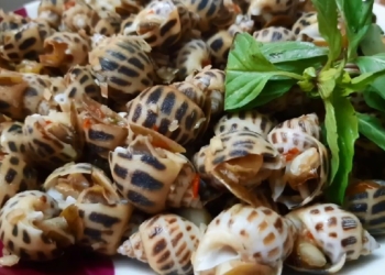 OCHuongxaosaot1200 1200x676 1