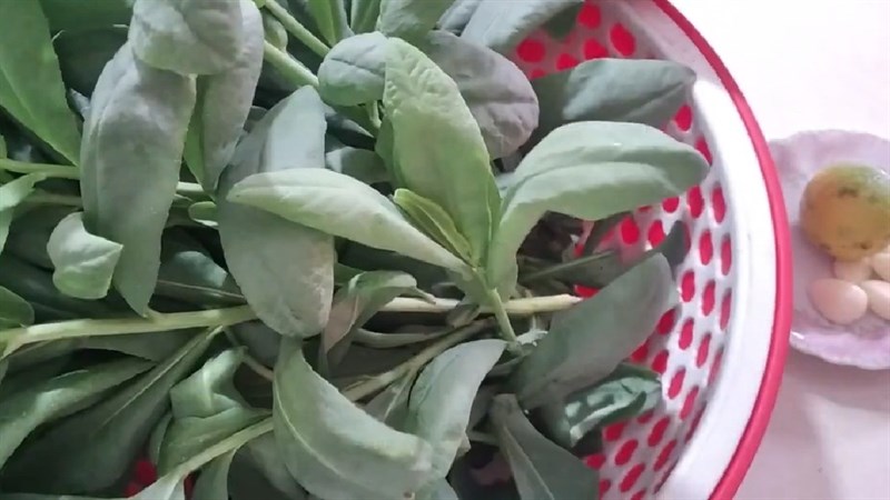 Nguyên liệu món ăn rau bồ công anh xào tỏi và thịt bò