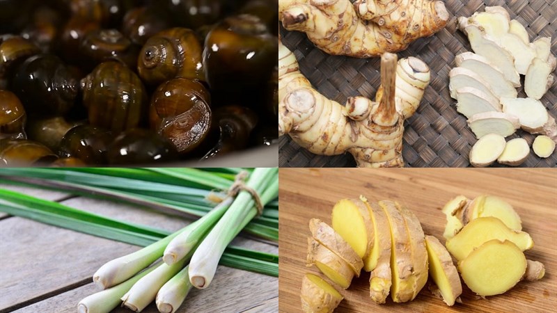 Nguyên liệu món ăn ốc mít hấp riềng sả và hấp cay