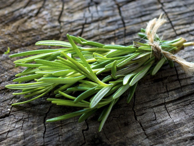 Nguyên liệu món ăn sấy hương thảo khô