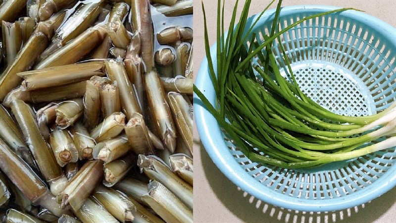 Nguyên liệu món ăn cách làm ốc móng tay xào mỡ hành