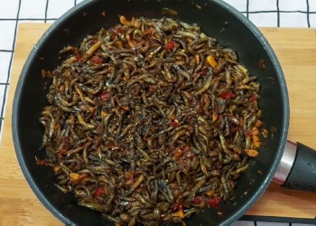 cabongkhoquet 1200x676 1