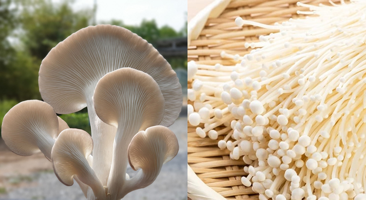 Nguyên liệu món ăn chả chén chay