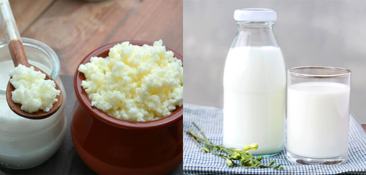 Nguyên liệu món ăn sữa chua từ nấm sữa kefir