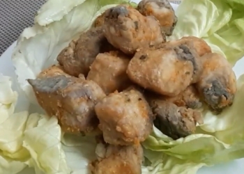 cacochiengion 1200x676 1