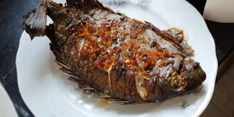 cadia1200 1200x676 1