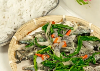 canuchaphanh 1200x676 1