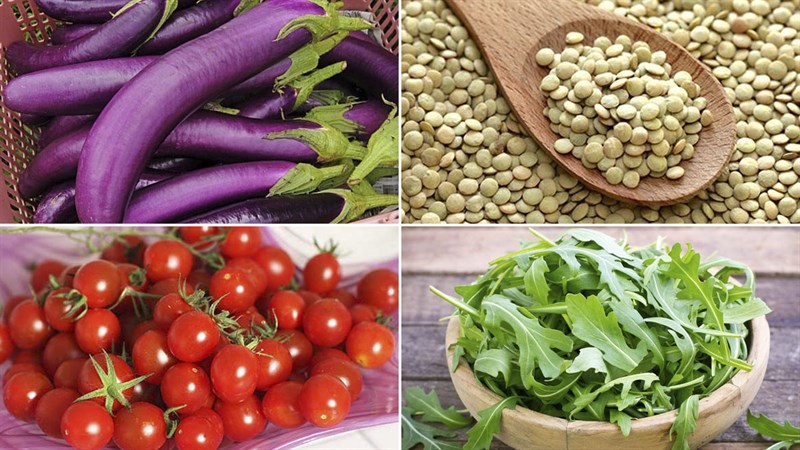 Nguyên liệu món ăn salad cà tím đậu lăng và ớt chuông