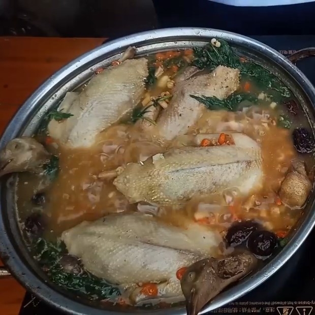 Bước 3 Hầm chim bồ câu Chim bồ câu hầm thuốc bắc