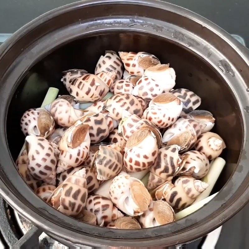 Bước 2 Hấp ốc hương với sả Ốc hương hấp sả