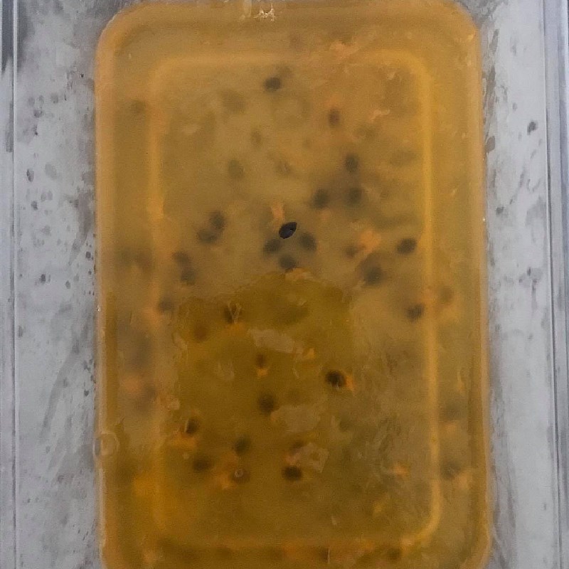Bước 3 Hoàn thành panna cotta sữa chua thạch chanh dây