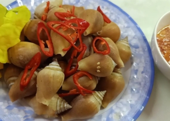 ijjj 1200x675 1