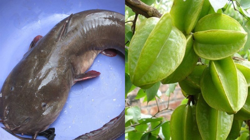Nguyên liệu món ăn cá ngát kho tộ, kho tiêu và kho khế
