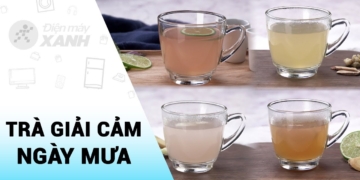 4 Cách Pha Trà Giải Cảm Mùa Mưa Đơn Giản Tại Nhà 17 maxresdefault 41