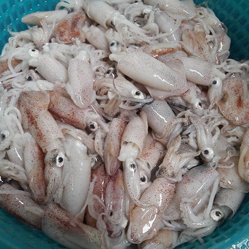 Bước 1 Sơ chế mực và các nguyên liệu Mực nướng sa tế